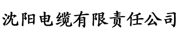 狠狠躁夜夜躁人人爽超碰97香蕉电缆厂logo